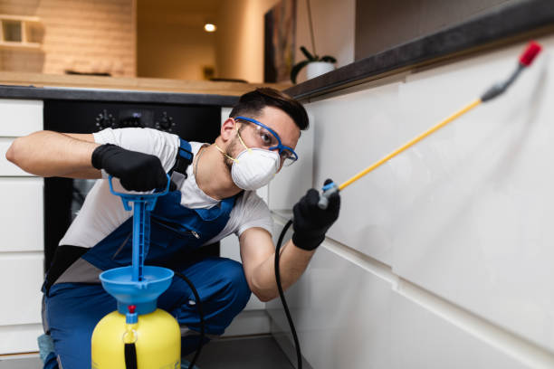Best Mosquito Control Services  in Temple, GA