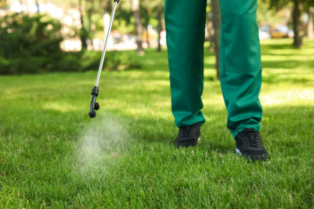 Best Local Pest Control Services  in Temple, GA