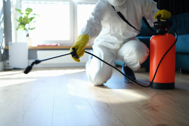 Best Flea Control Services  in Temple, GA