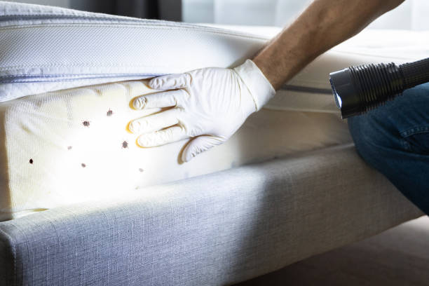 Best Pest Control Near Me in Temple, GA