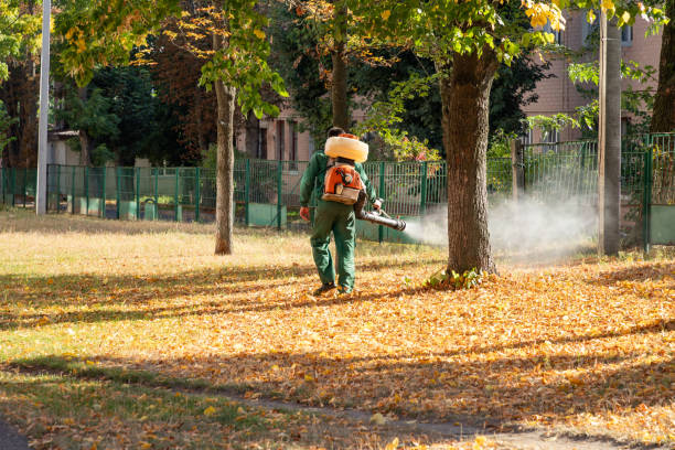 Pest Control Cost in Temple, GA