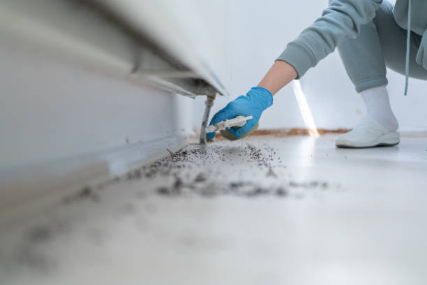 Best Exterminator Services  in Temple, GA